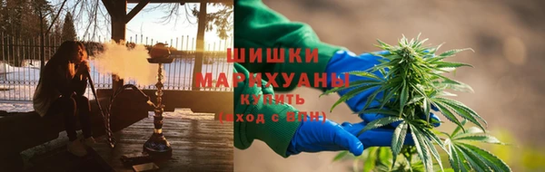 индика Абинск