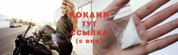 индика Абинск