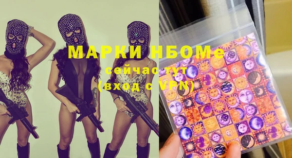 индика Абинск
