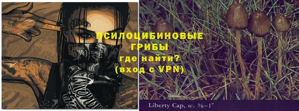 не бодяженный Абаза