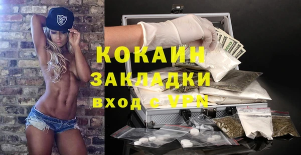 индика Абинск