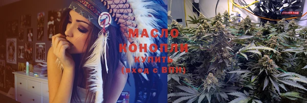 индика Абинск