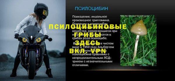 индика Абинск