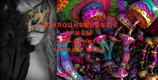 индика Абинск