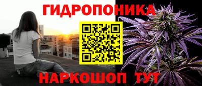jwh Моздок