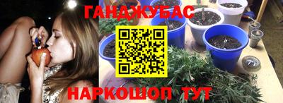 первитин Можга